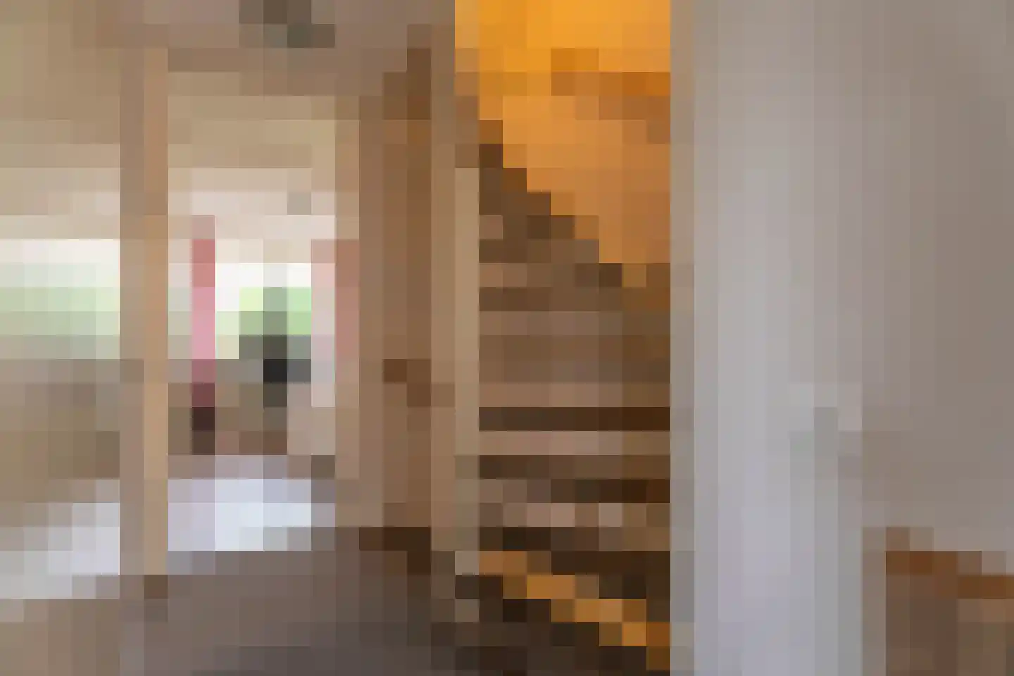 Anemoonstraat 38 Voorhout thumbnail 22