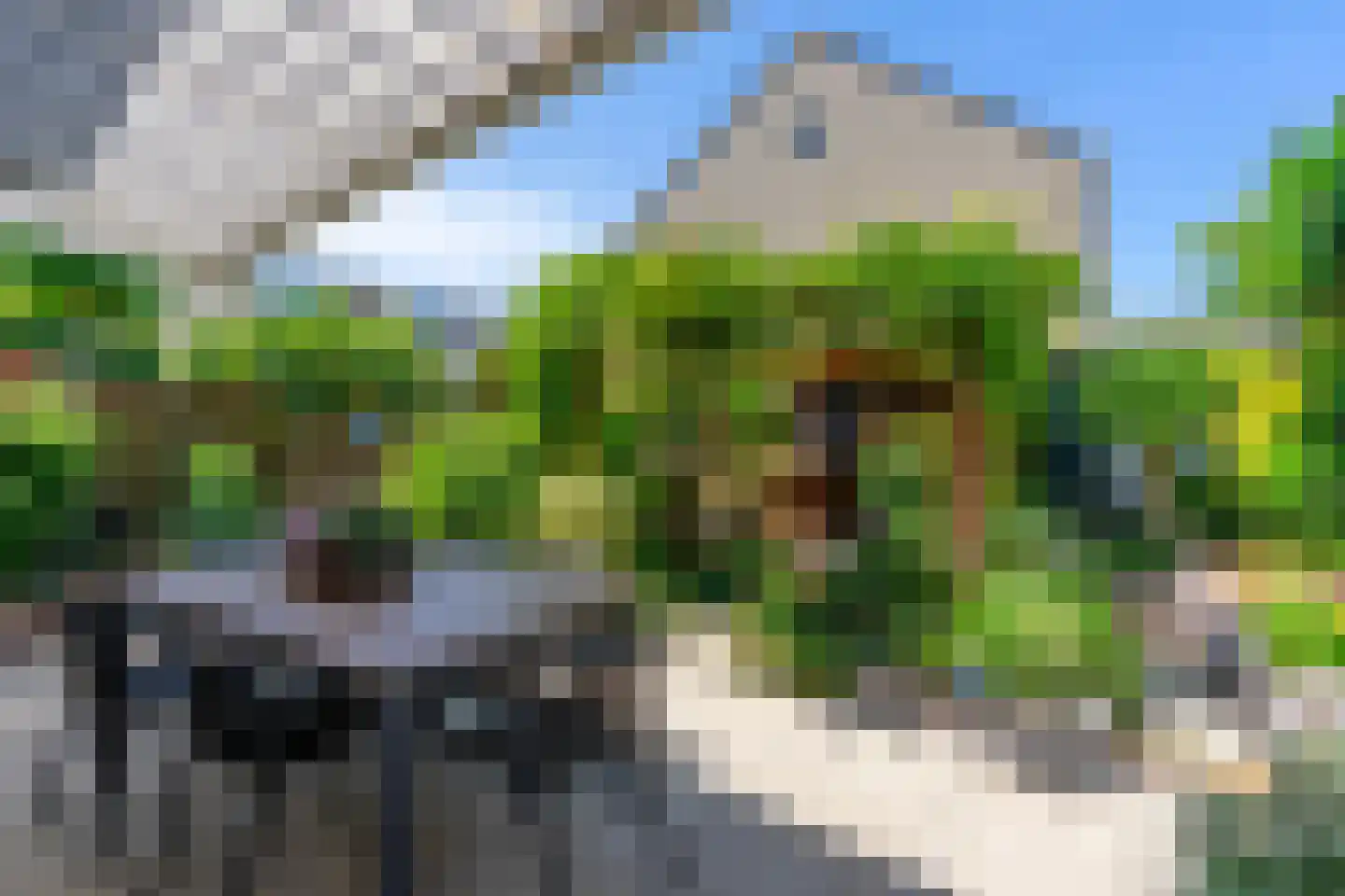 Anemoonstraat 38 Voorhout thumbnail 29
