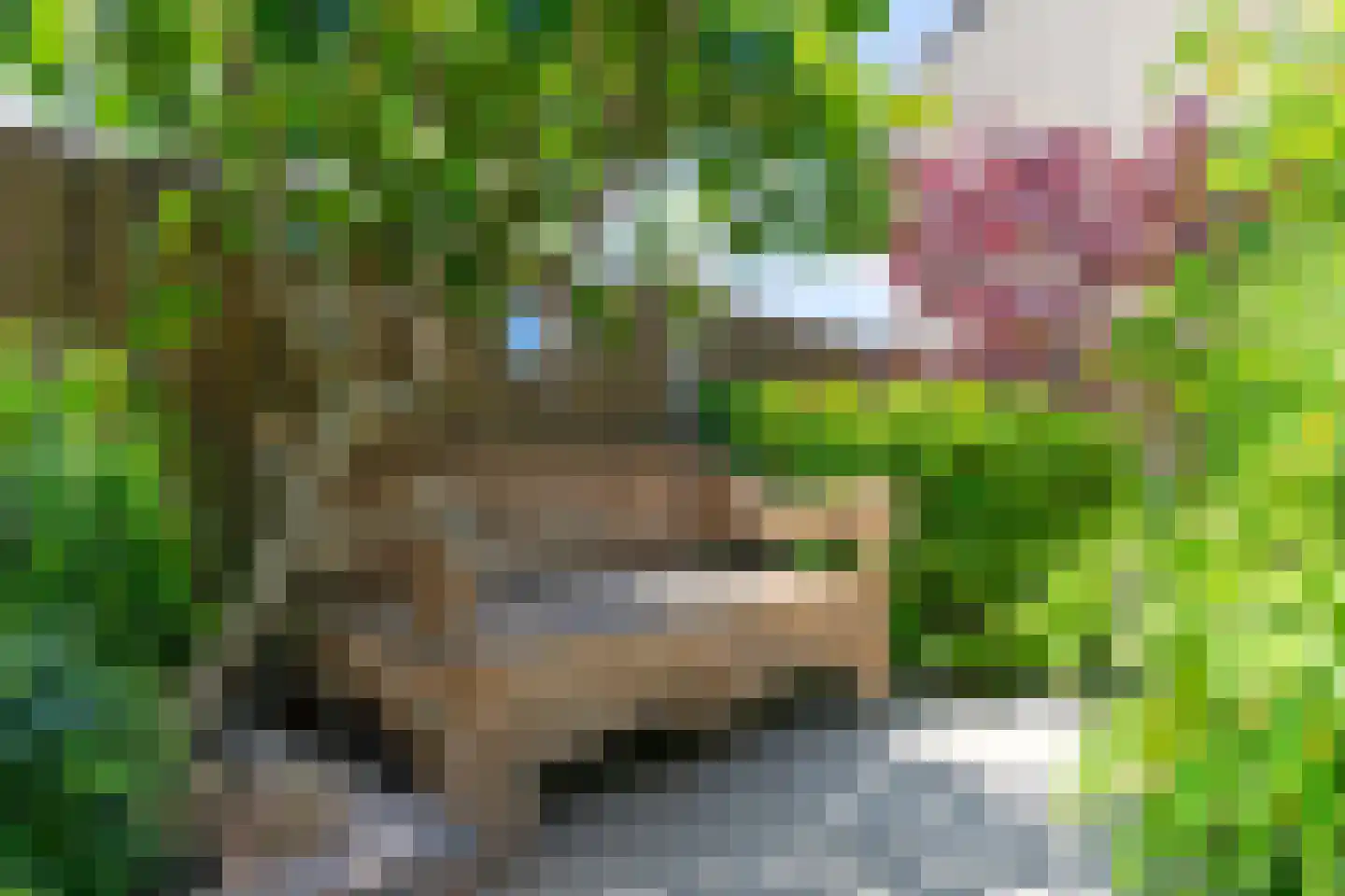 Anemoonstraat 38 Voorhout thumbnail 32