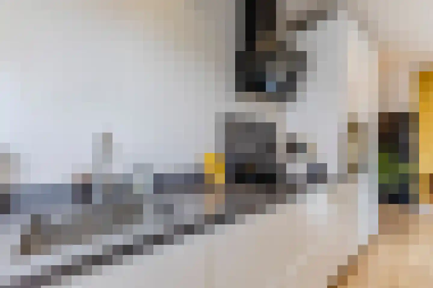Anemoonstraat 39 Koog aan de Zaan thumbnail 10