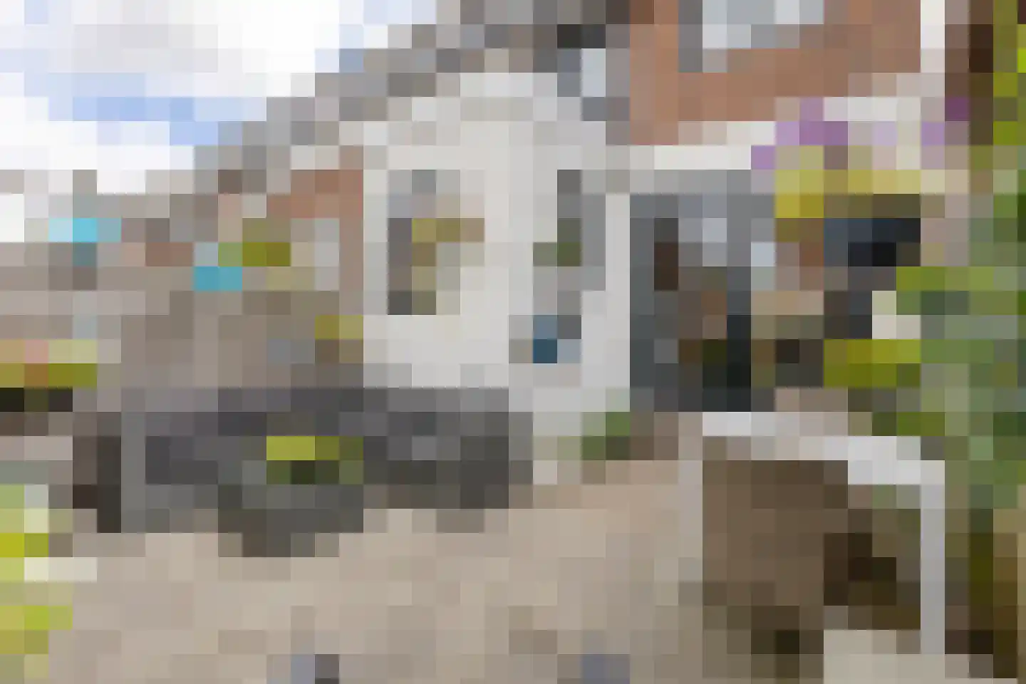 Anemoonstraat 39 Koog aan de Zaan thumbnail 11