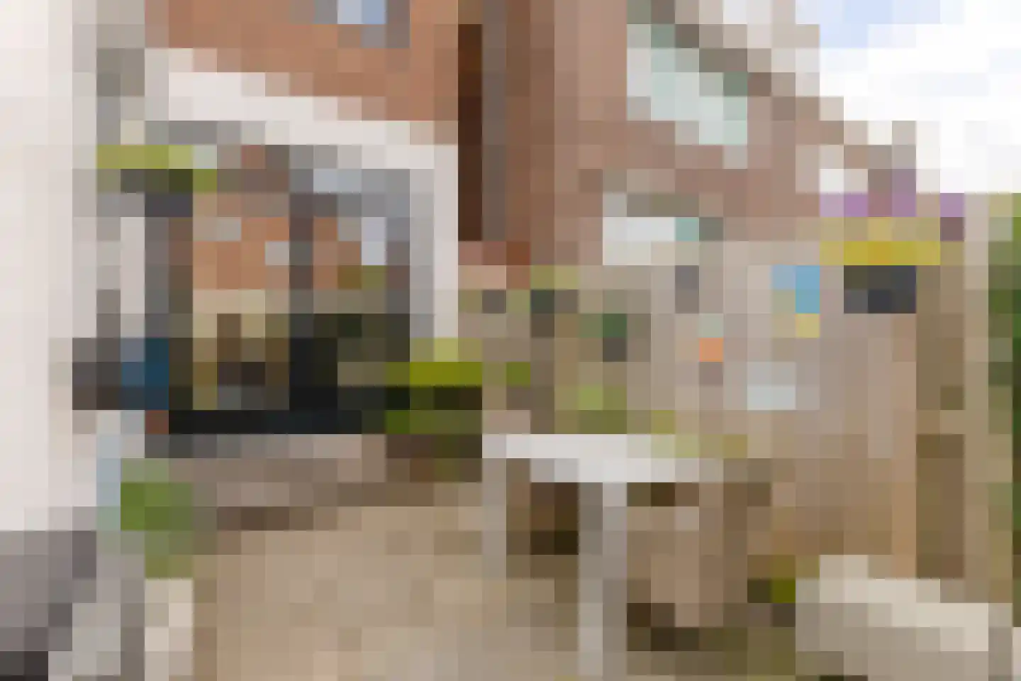 Anemoonstraat 39 Koog aan de Zaan thumbnail 13