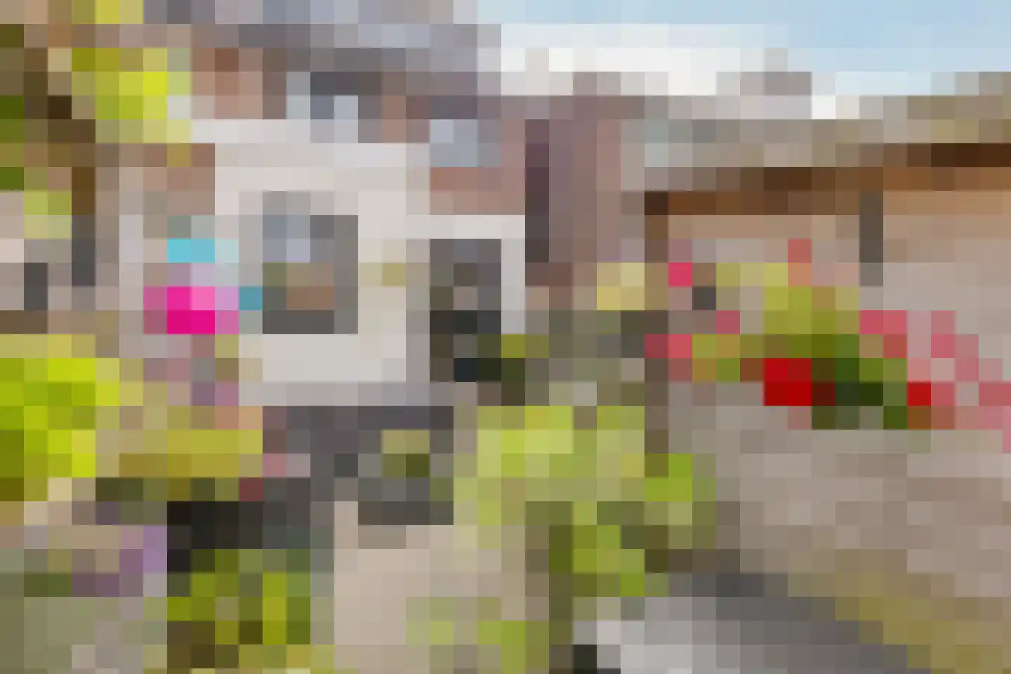 Anemoonstraat 39 Koog aan de Zaan thumbnail 14