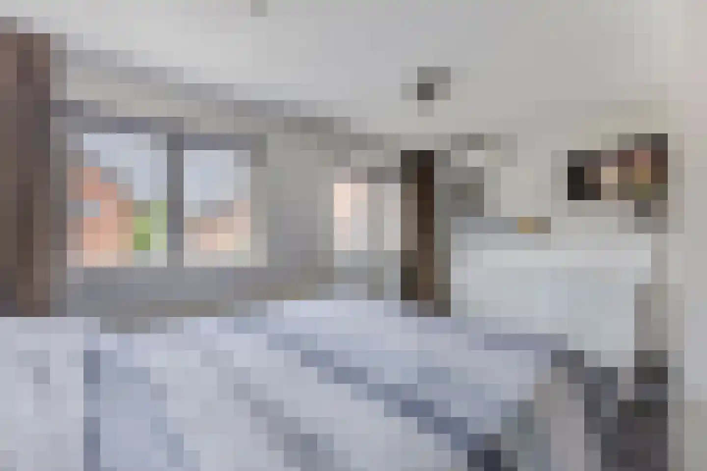 Anemoonstraat 39 Koog aan de Zaan thumbnail 18