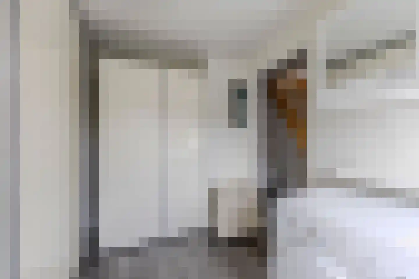 Anemoonstraat 39 Koog aan de Zaan thumbnail 20