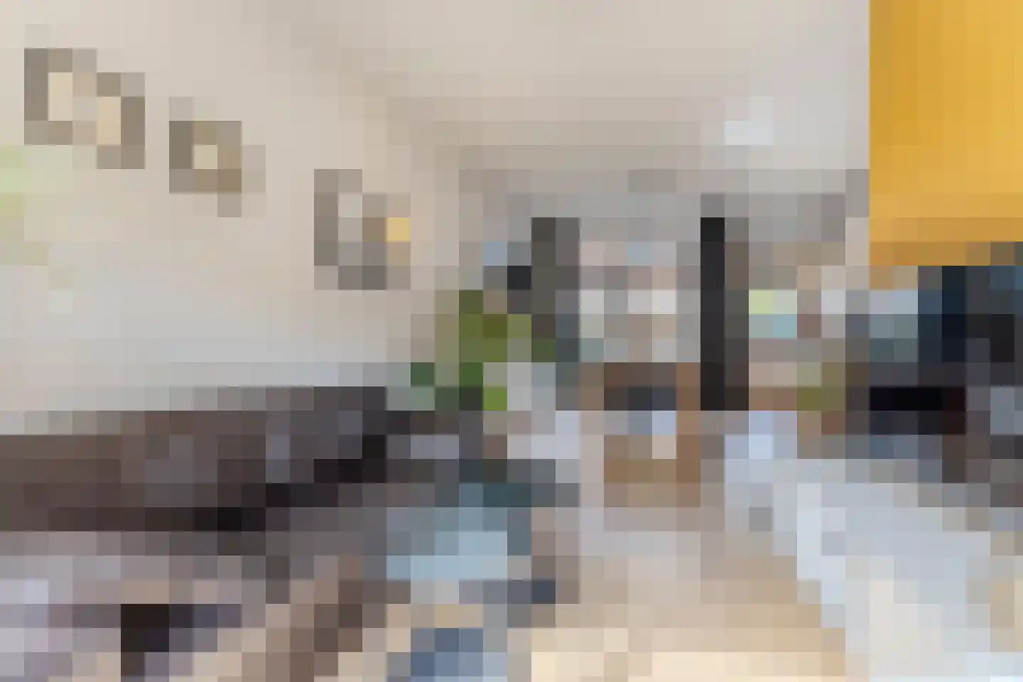 Anemoonstraat 39 Koog aan de Zaan thumbnail 5