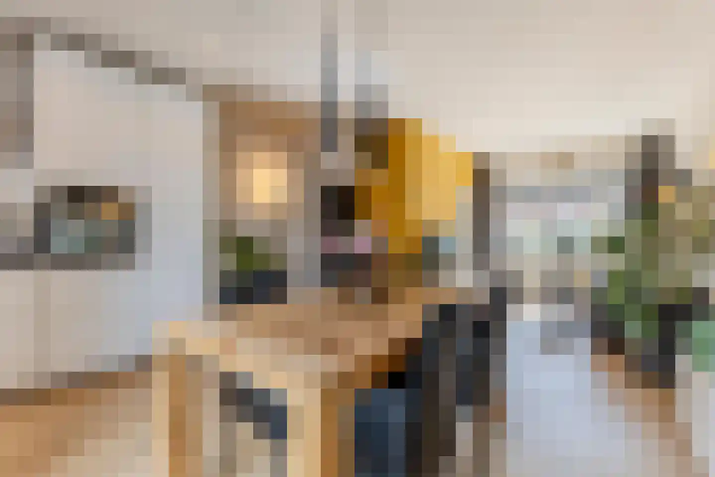 Anemoonstraat 39 Koog aan de Zaan thumbnail 7