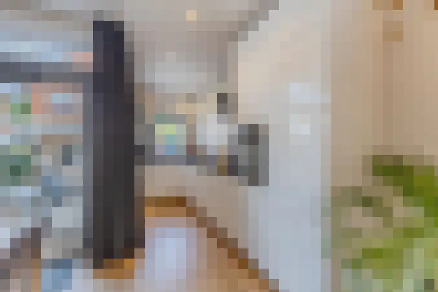 Anemoonstraat 39 Koog aan de Zaan thumbnail 8