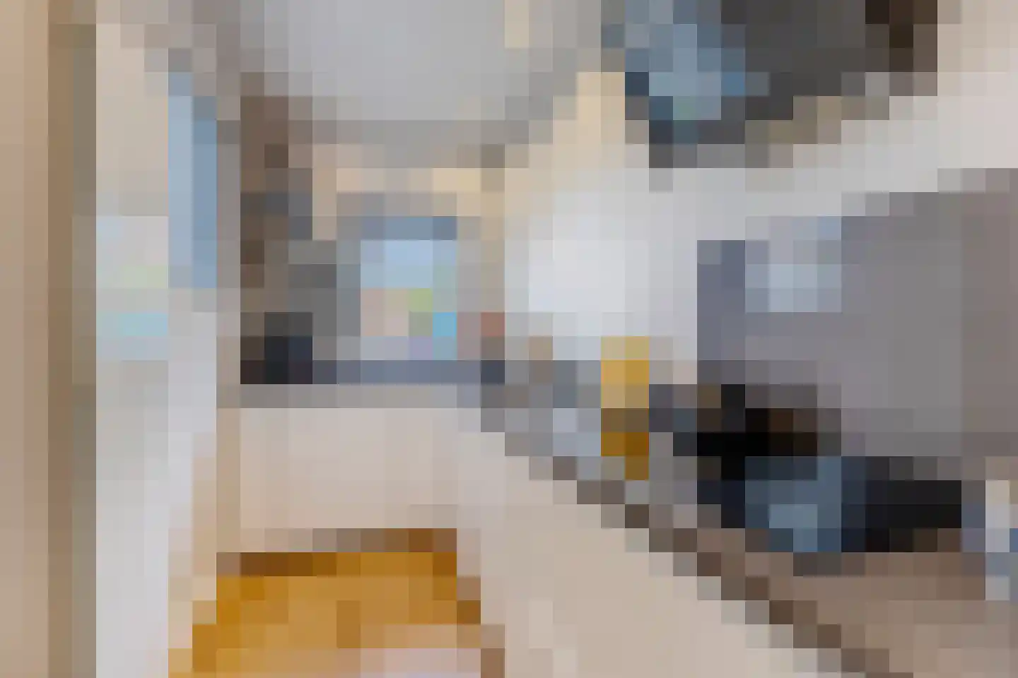 Anemoonstraat 39 Koog aan de Zaan thumbnail 9
