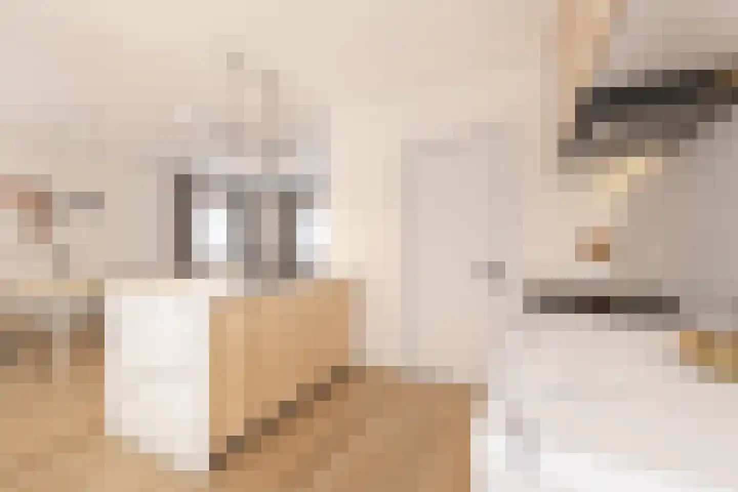 Anemoonstraat 4 Ittervoort thumbnail 15