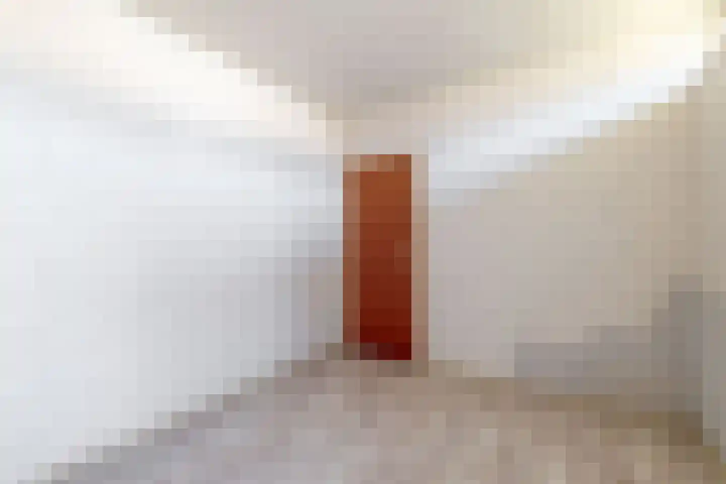 Anemoonstraat 4 Ittervoort thumbnail 19