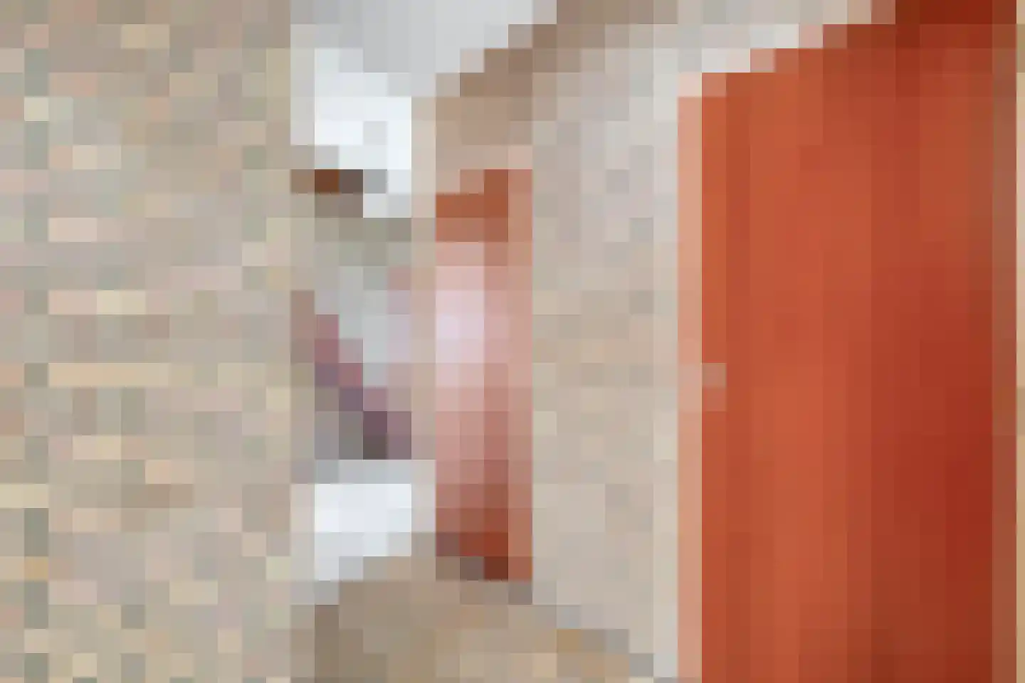 Anemoonstraat 4 Ittervoort thumbnail 22