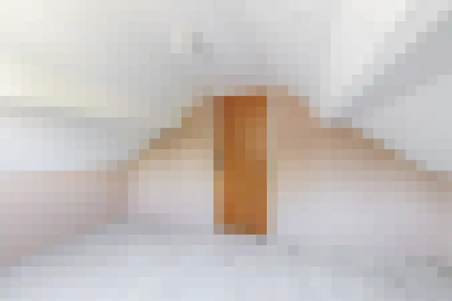 Anemoonstraat 4 Ittervoort thumbnail 29