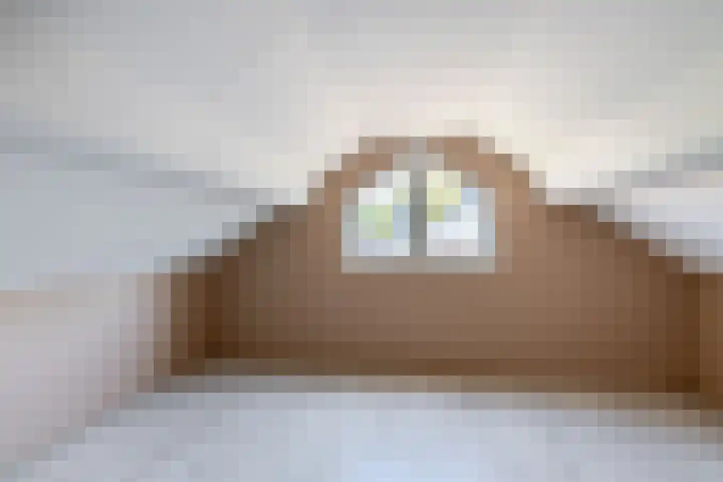 Anemoonstraat 4 Ittervoort thumbnail 30