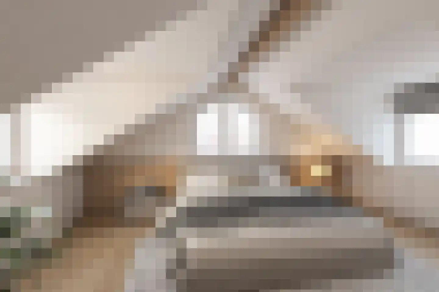 Anemoonstraat 4 Ittervoort thumbnail 31