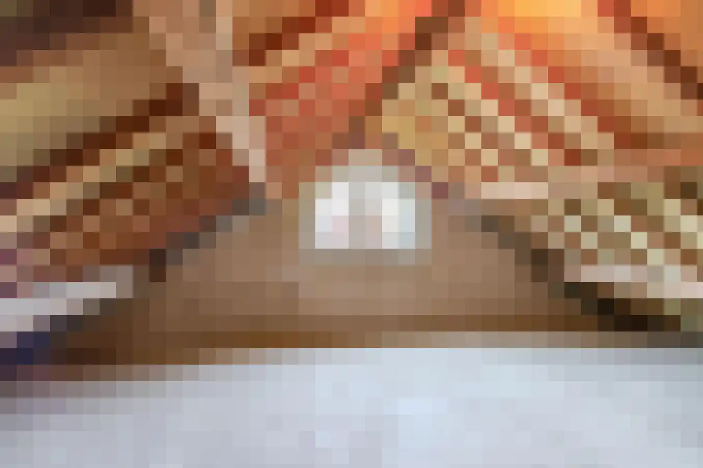 Anemoonstraat 4 Ittervoort thumbnail 32