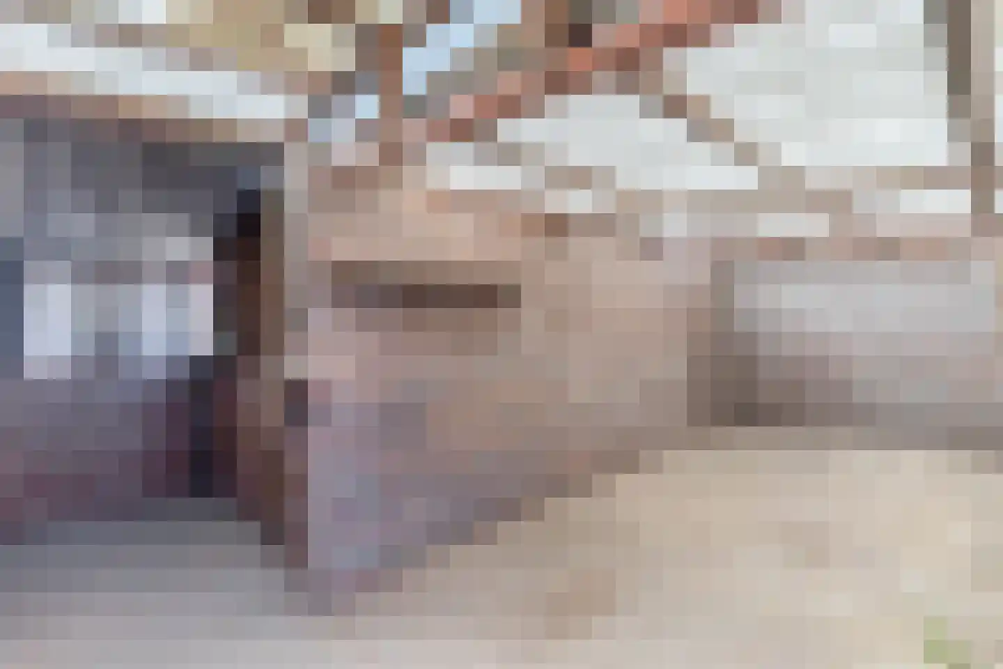 Anemoonstraat 4 Ittervoort thumbnail 35