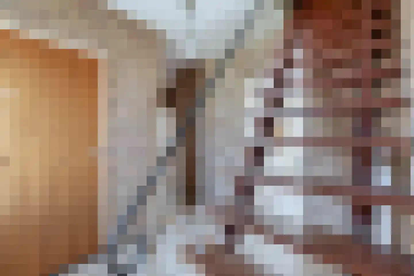 Anemoonstraat 4 Ittervoort thumbnail 4