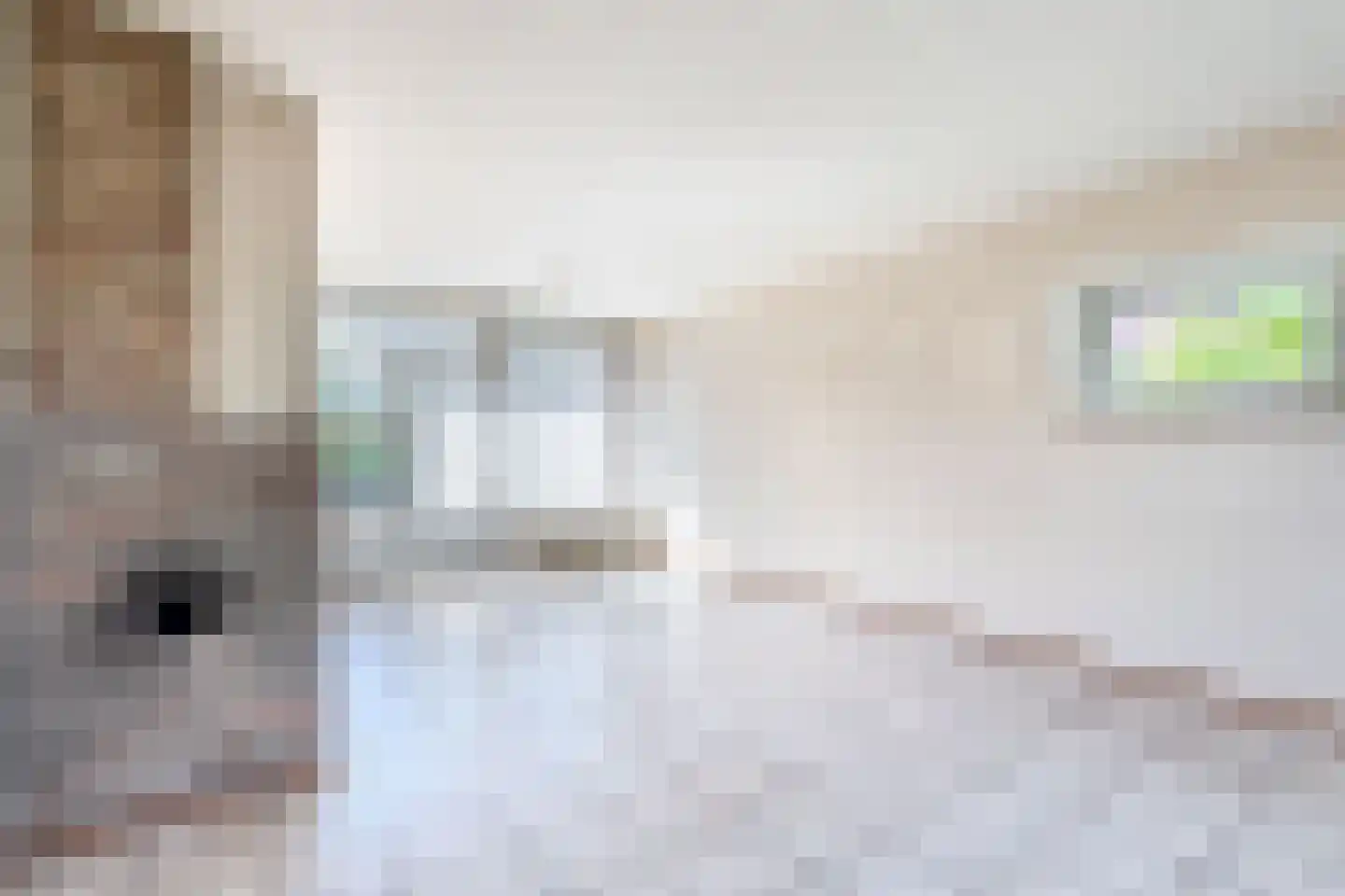 Anemoonstraat 4 Ittervoort thumbnail 7
