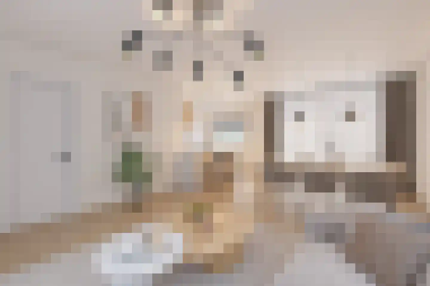 Anemoonstraat 4 Ittervoort thumbnail 9