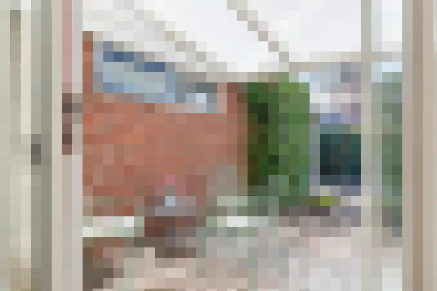 Anemoonstraat 40 Hoogeveen thumbnail 36