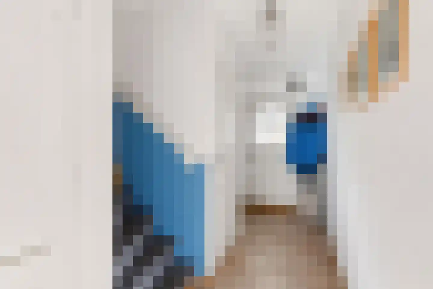 Anemoonstraat 40 Hoogeveen thumbnail 8