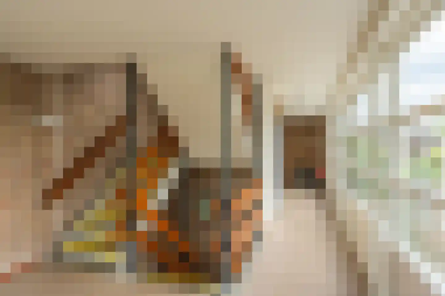 Anemoonstraat 5 Assen thumbnail 10