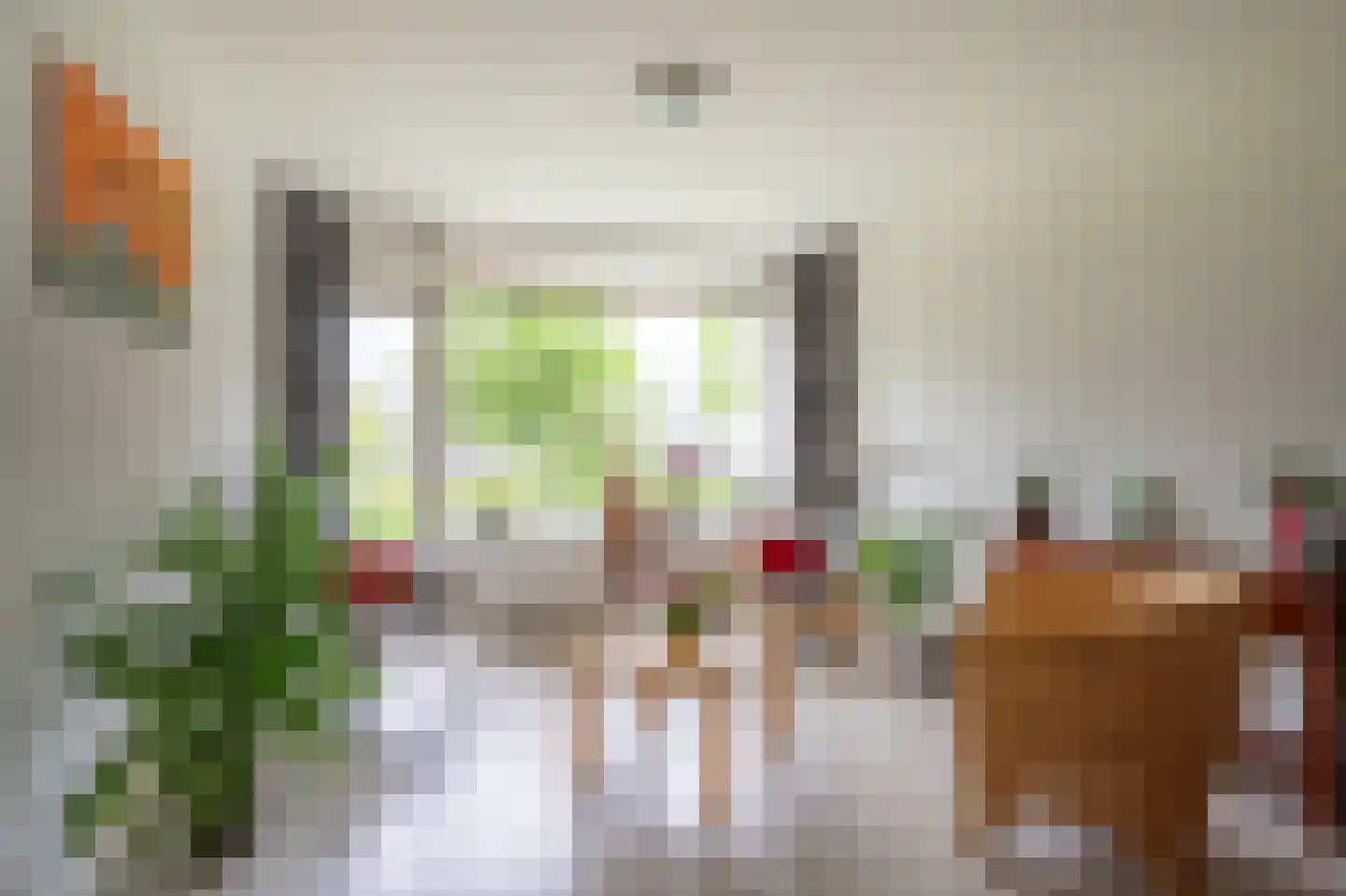 Anemoonstraat 5 Assen thumbnail 18