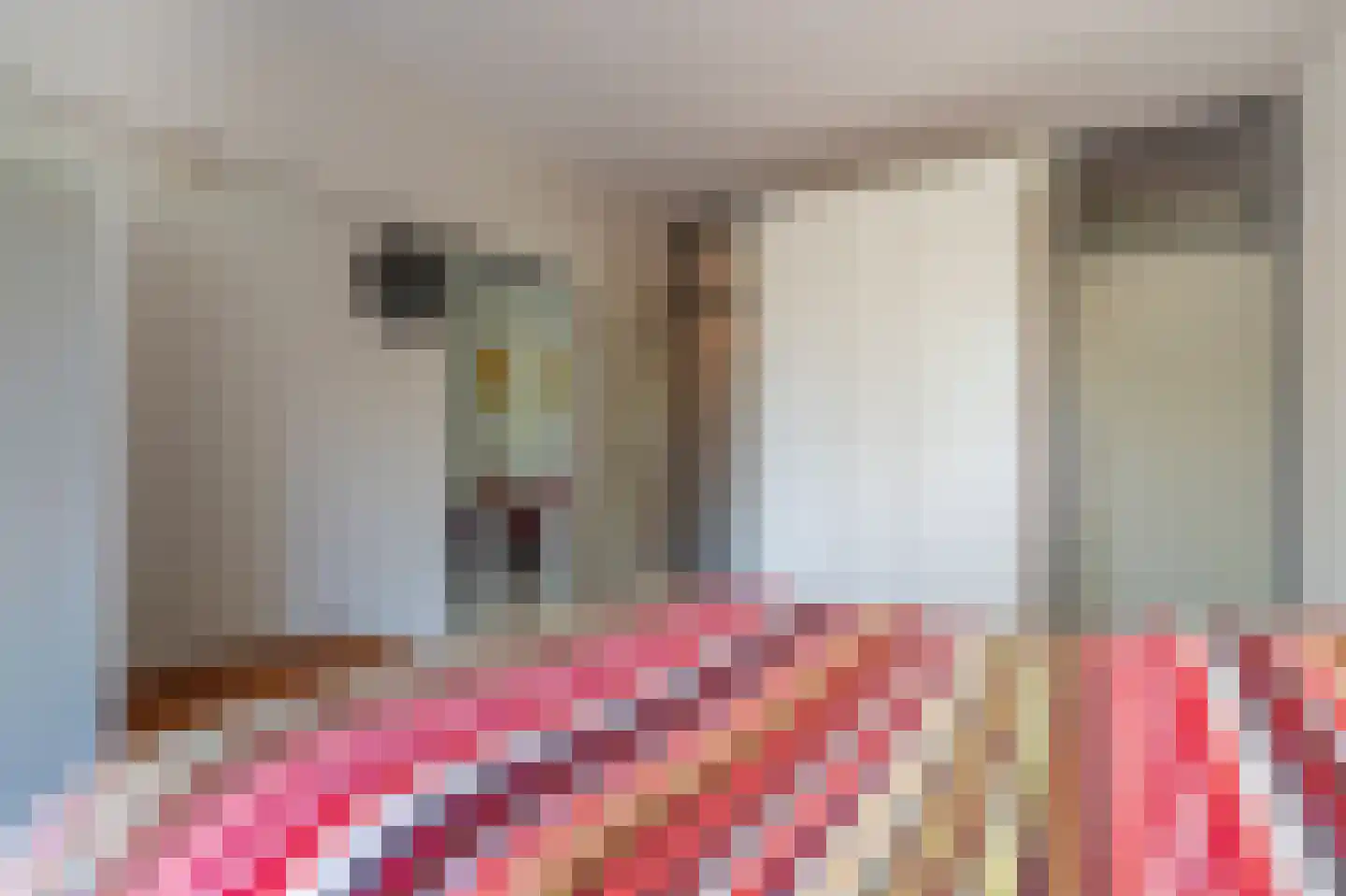 Anemoonstraat 5 Assen thumbnail 22