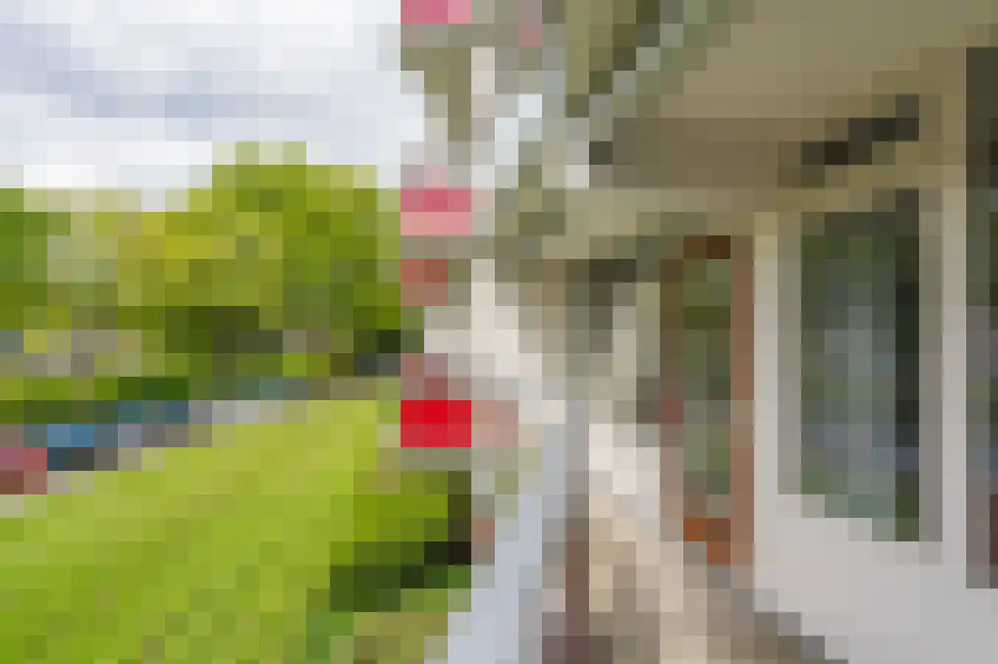 Anemoonstraat 5 Assen thumbnail 26