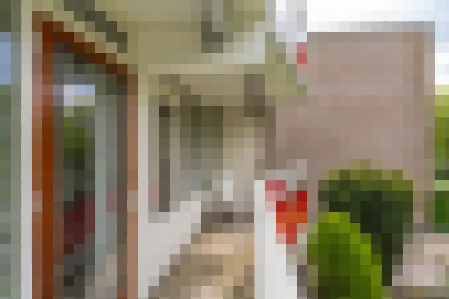 Anemoonstraat 5 Assen thumbnail 27