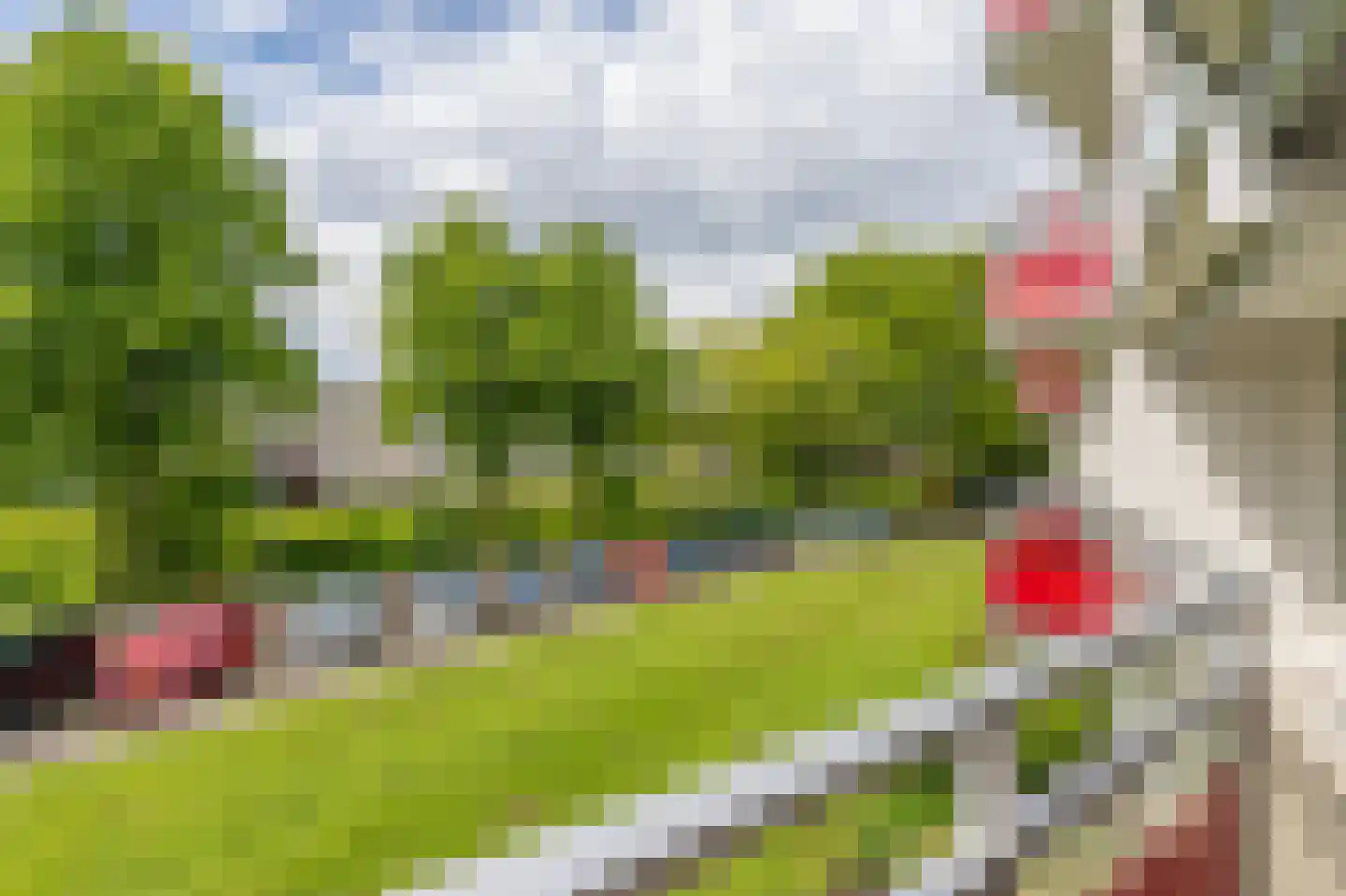 Anemoonstraat 5 Assen thumbnail 28