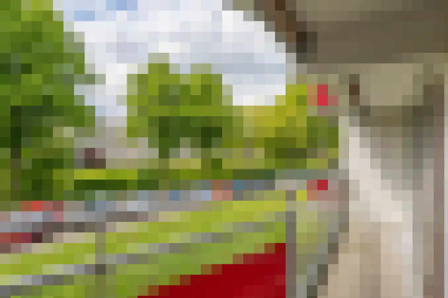 Anemoonstraat 5 Assen thumbnail 29