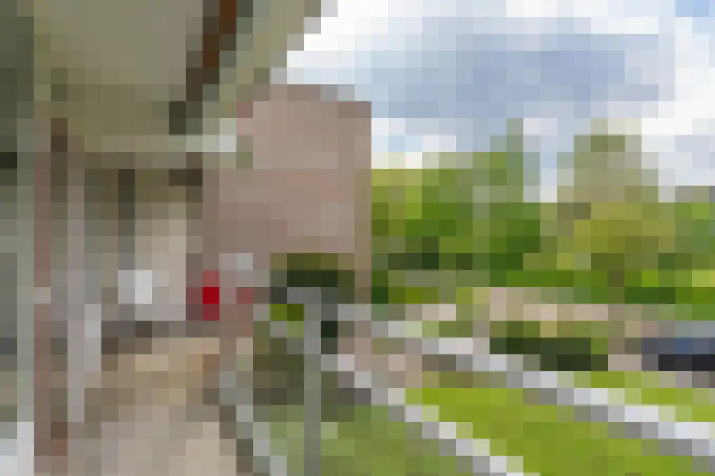 Anemoonstraat 5 Assen thumbnail 30