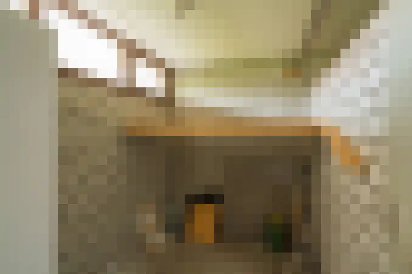 Anemoonstraat 5 Assen thumbnail 32