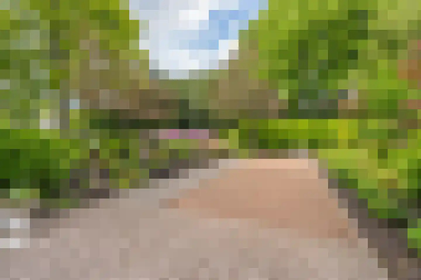 Anemoonstraat 5 Assen thumbnail 33