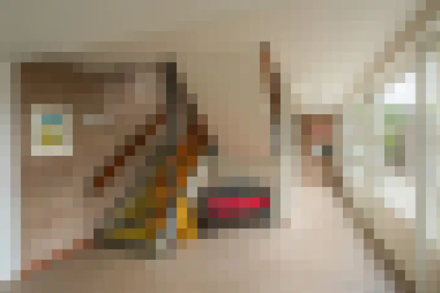 Anemoonstraat 5 Assen thumbnail 8