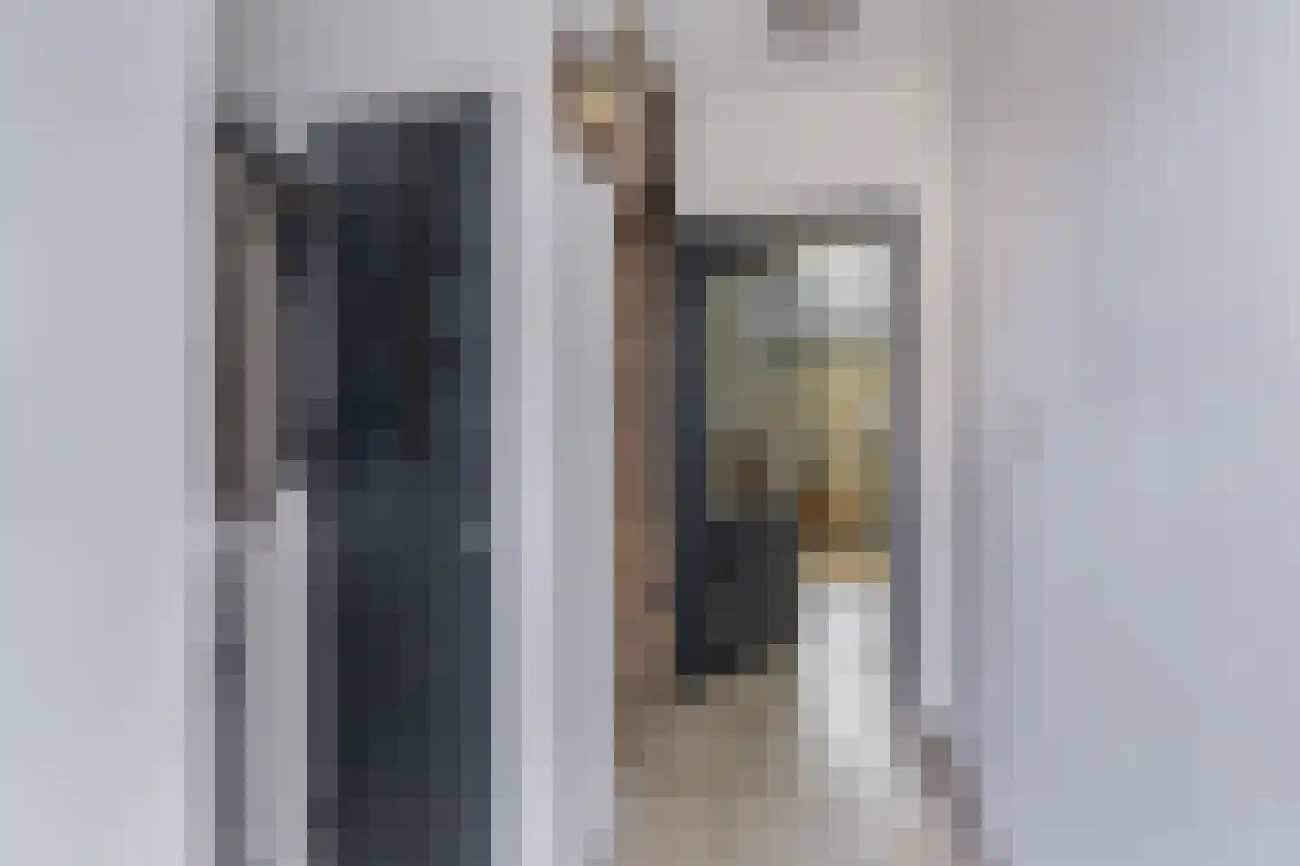Anemoonstraat 5 Sint-Michielsgestel thumbnail 12