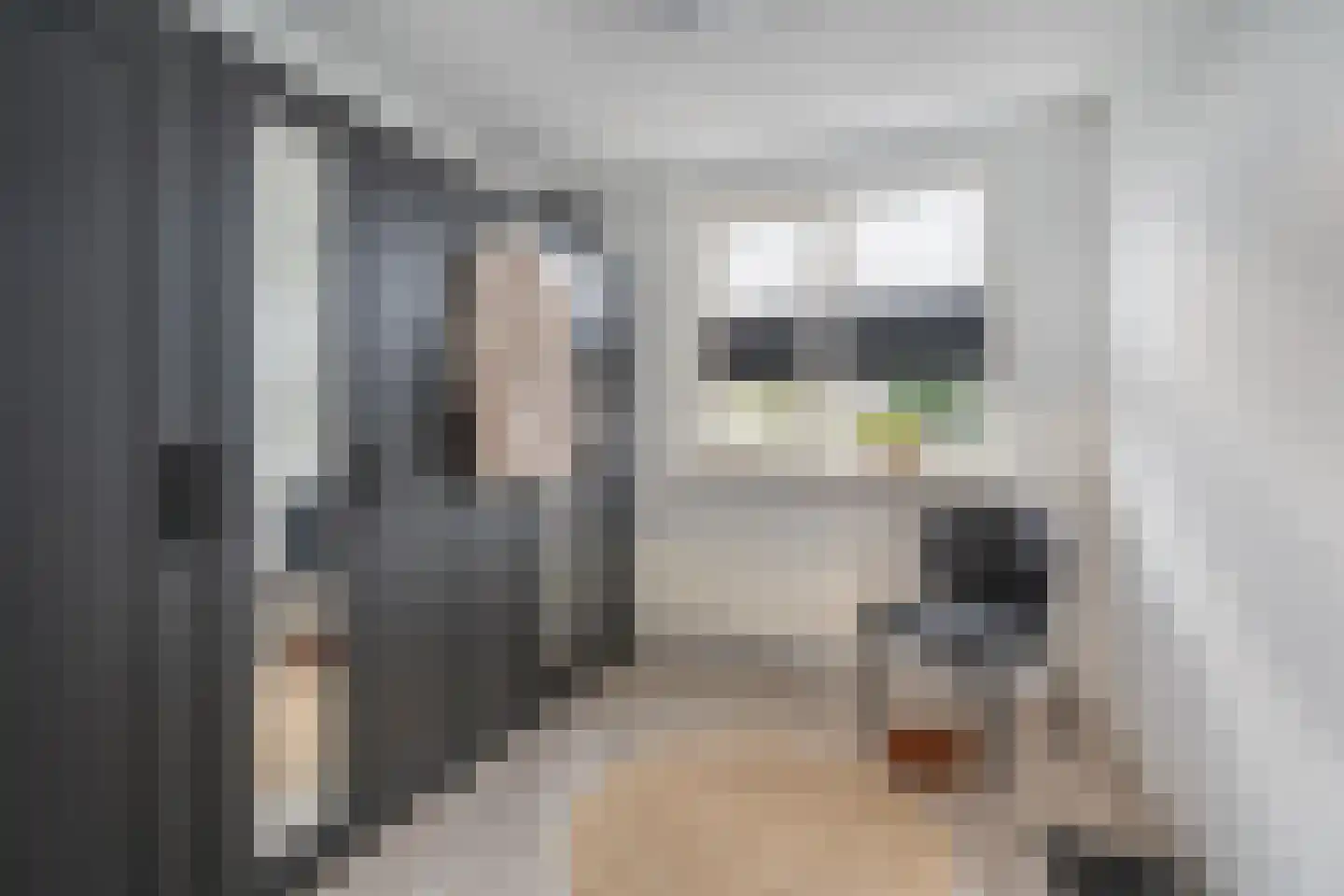 Anemoonstraat 5 Sint-Michielsgestel thumbnail 15