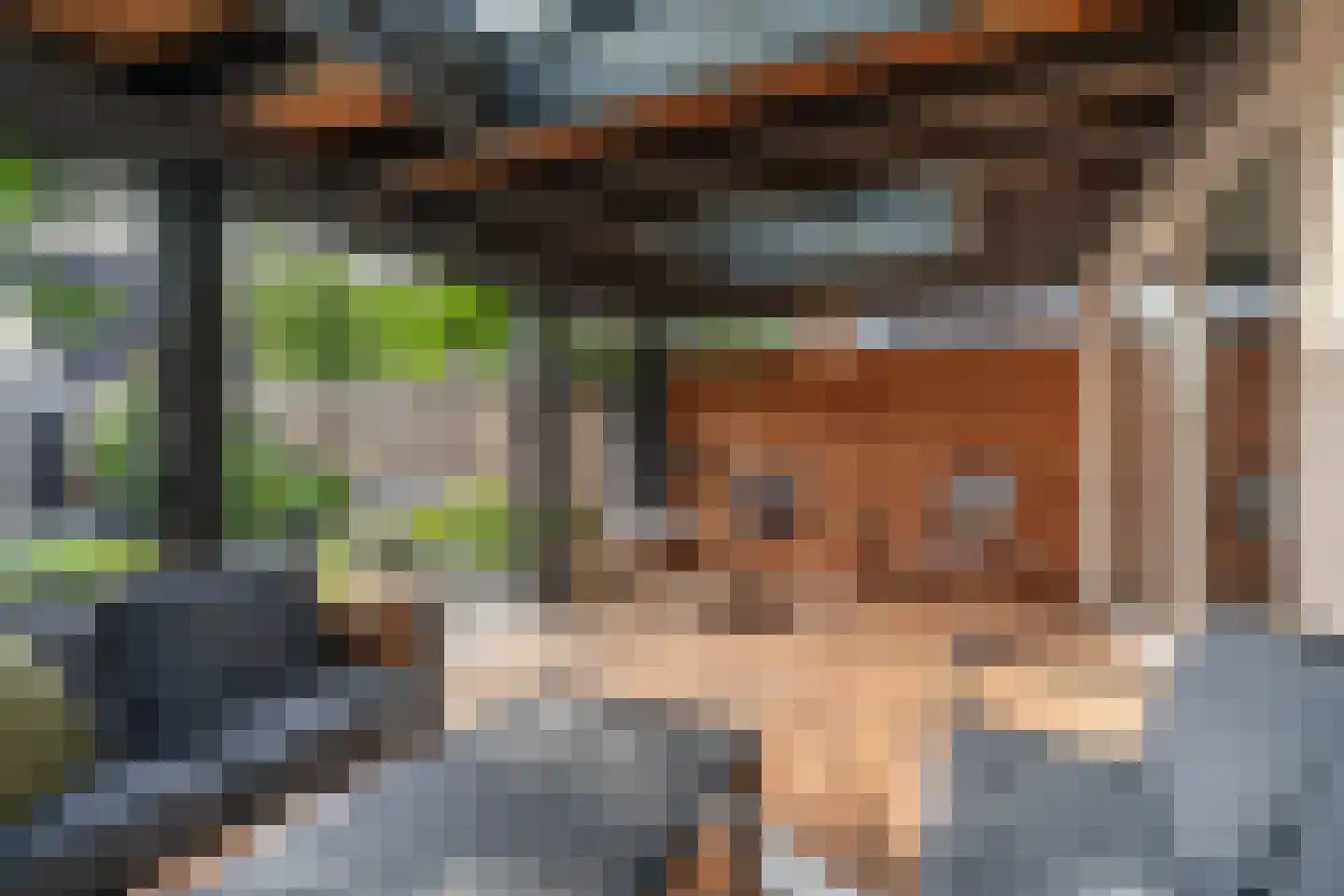 Anemoonstraat 5 Sint-Michielsgestel thumbnail 25