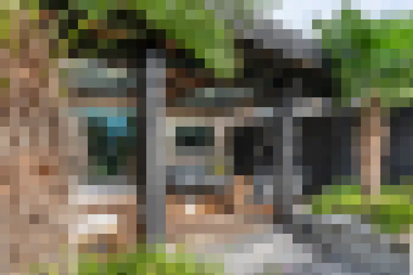 Anemoonstraat 5 Sint-Michielsgestel thumbnail 26