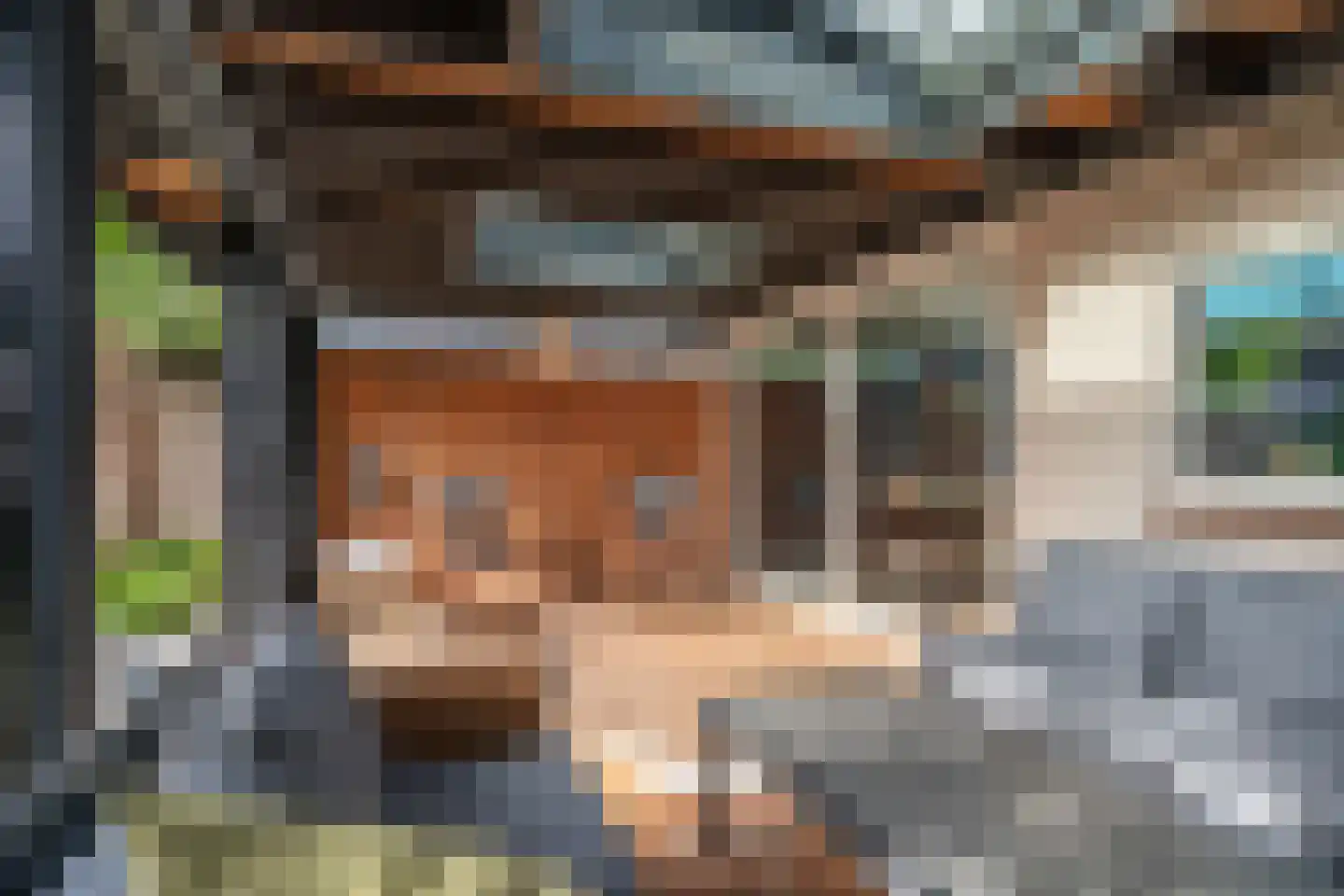 Anemoonstraat 5 Sint-Michielsgestel thumbnail 27