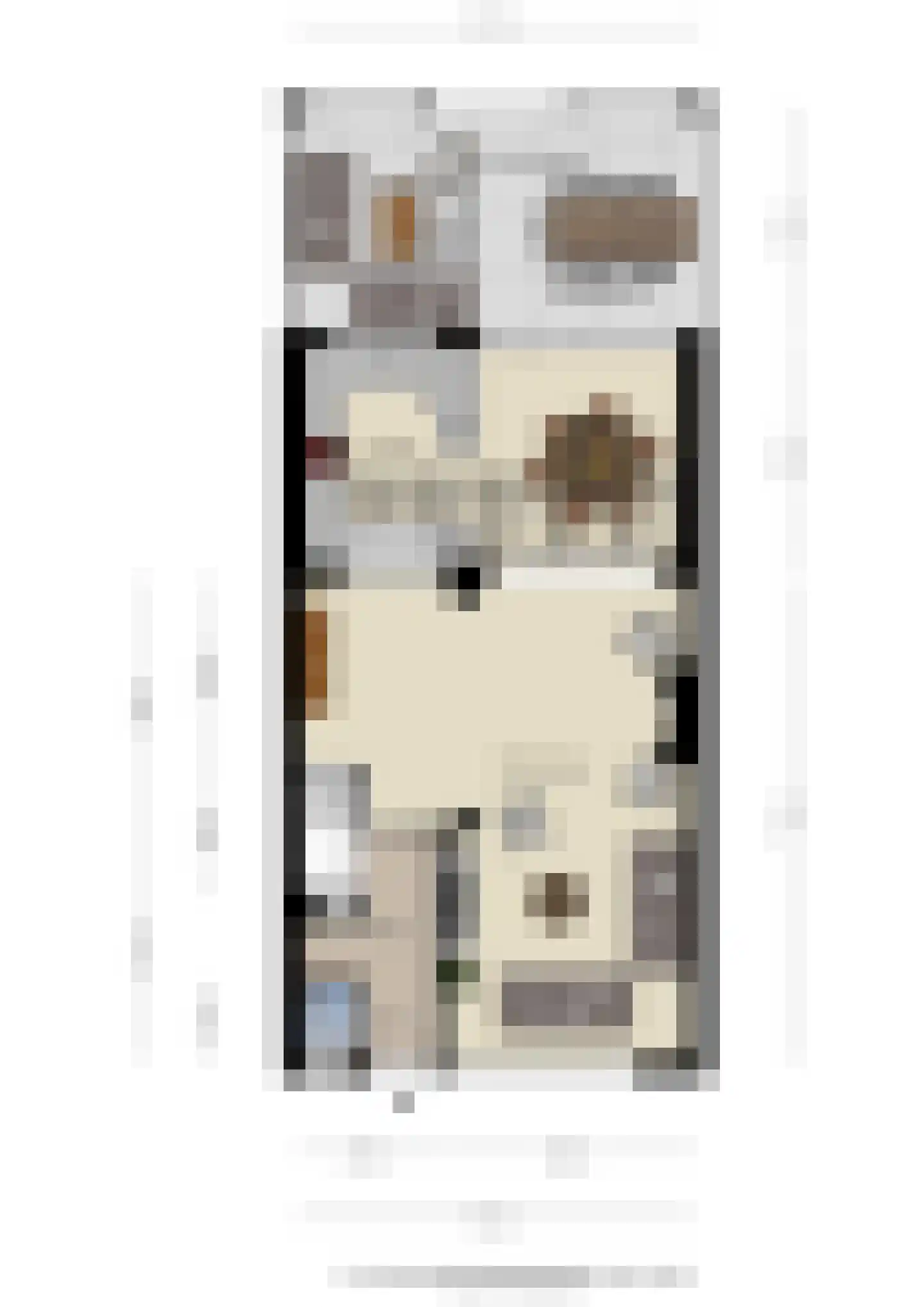 Anemoonstraat 5 Sint-Michielsgestel thumbnail 32