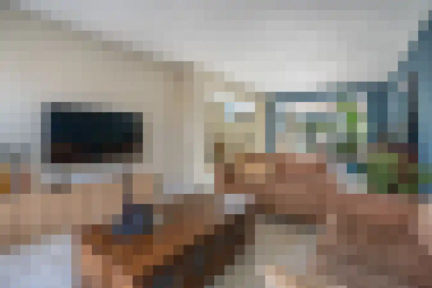 Anemoonstraat 5 Sint-Michielsgestel thumbnail 4