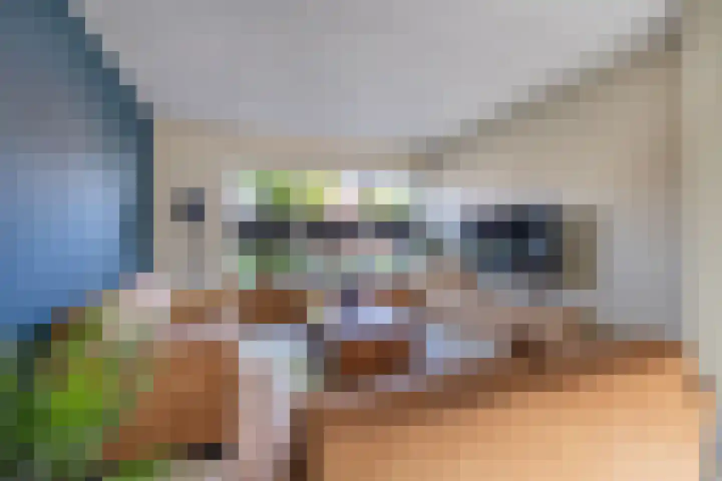 Anemoonstraat 5 Sint-Michielsgestel thumbnail 5