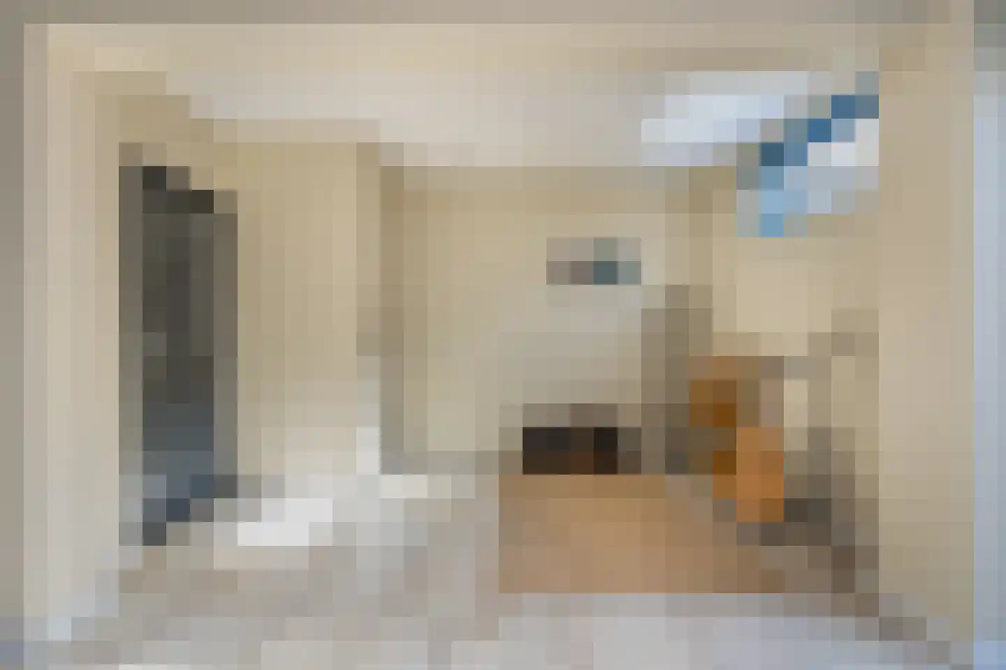 Anemoonstraat 5 Sint-Michielsgestel thumbnail 6