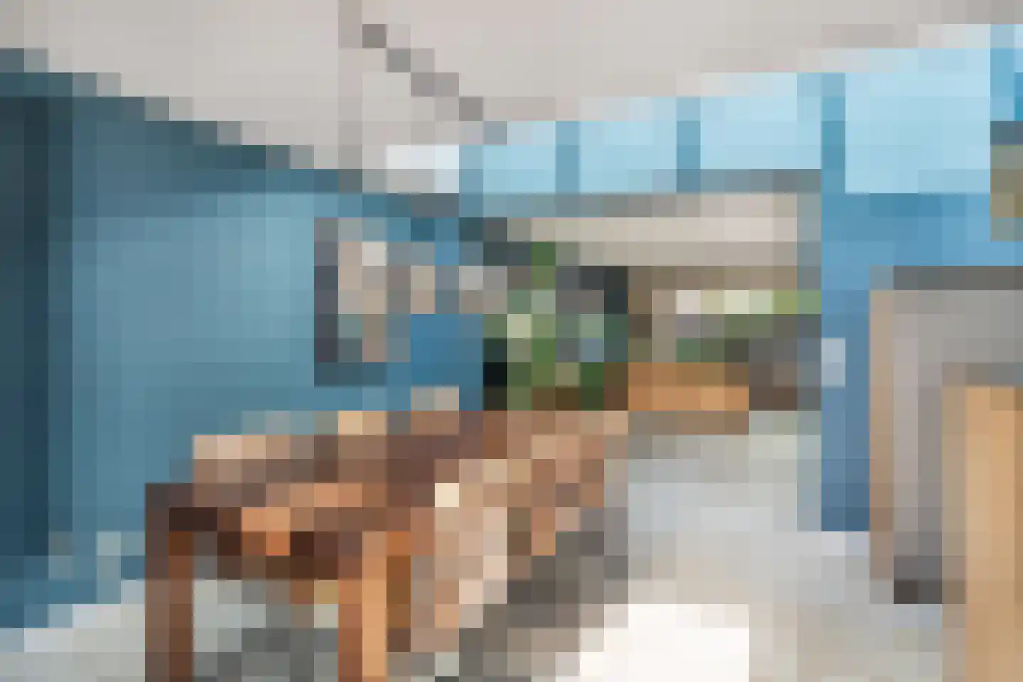 Anemoonstraat 5 Sint-Michielsgestel thumbnail 7