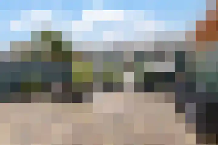 Anemoonstraat 50 Koog aan de Zaan thumbnail 11