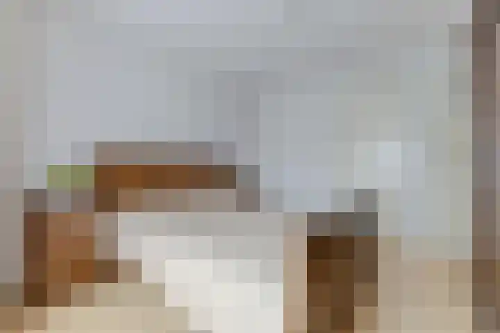 Anemoonstraat 50 Koog aan de Zaan thumbnail 22