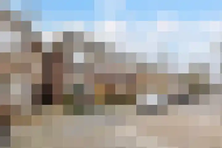 Anemoonstraat 50 Koog aan de Zaan thumbnail 4